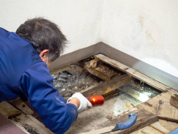 Best Post-Remediation Services in Upper Grand Lagoon, FL