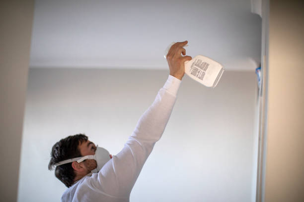 Best Kitchen Mold Remediation in Upper Grand Lagoon, FL