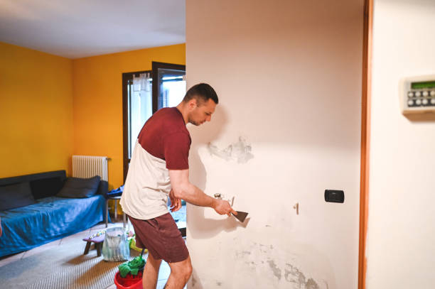 Best Preventive Mold Services in Upper Grand Lagoon, FL